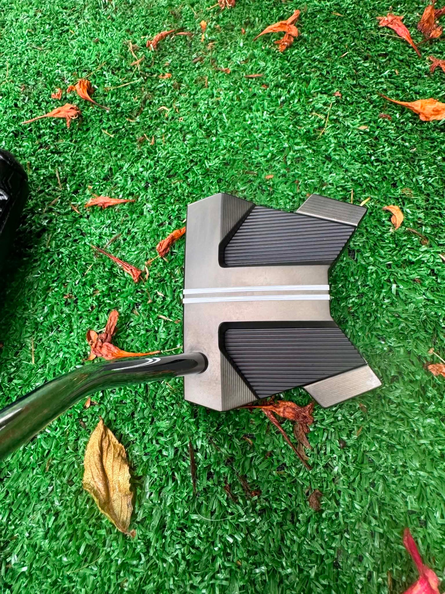 BLACK PHANTOM 11 LTD.