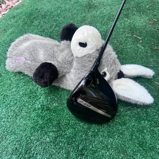 TITLEIST GT2 GOLF DRIVER 10*