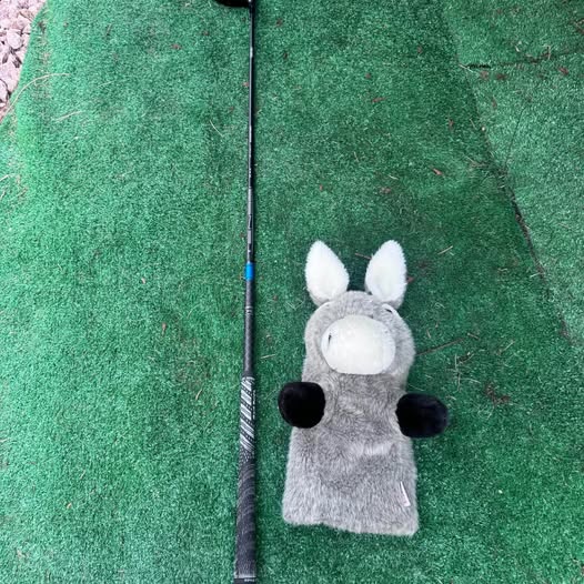 TITLEIST GT2 GOLF DRIVER 10*