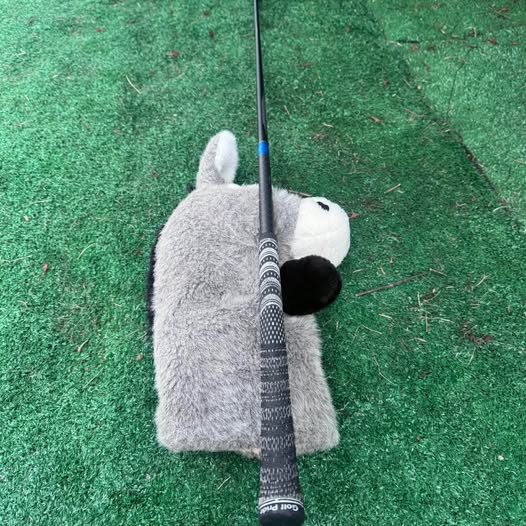 TITLEIST GT2 GOLF DRIVER 10*